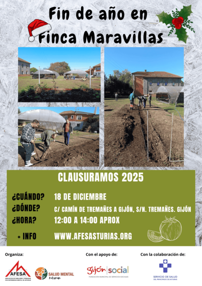 Clausuras Proyectos de Inclusión 2025